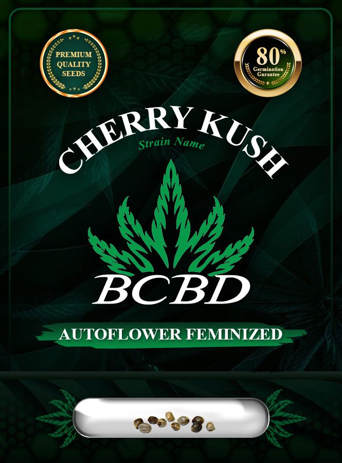 Cherry Kush Autoflowering Marijuana Seeds