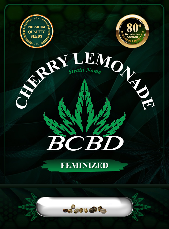 Cherry Lemonade Strain Feminized Marijuana Seeds