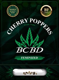 Cherry Poppers Strain Feminized