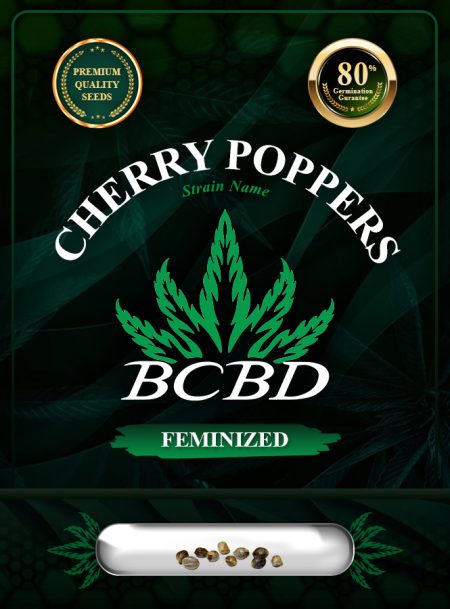 Cherry Poppers Strain Feminized