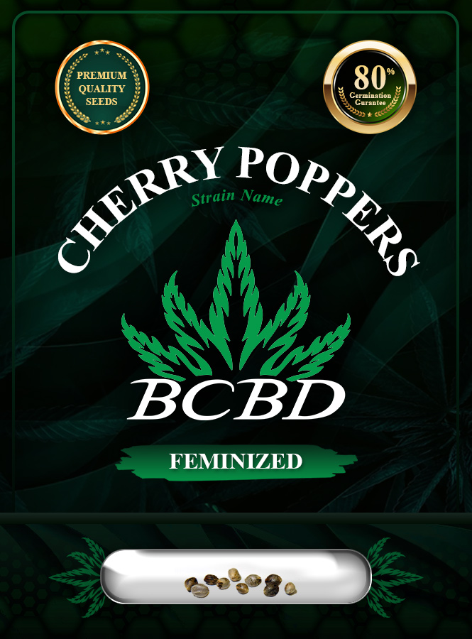Cherry Poppers Strain Feminized Marijuana Seeds