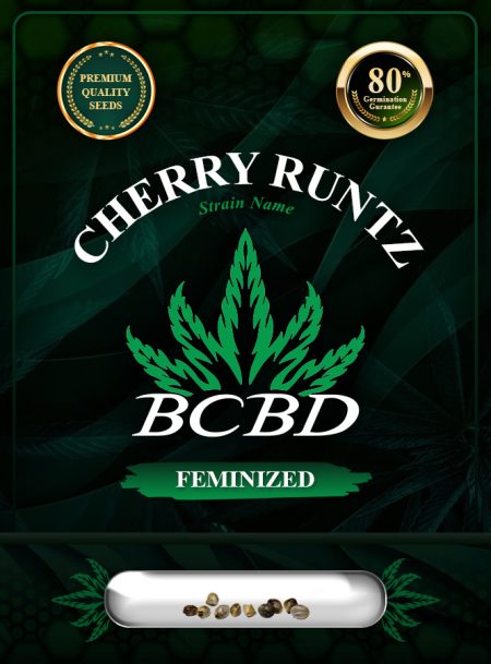 Cherry Runtz Strain Feminized