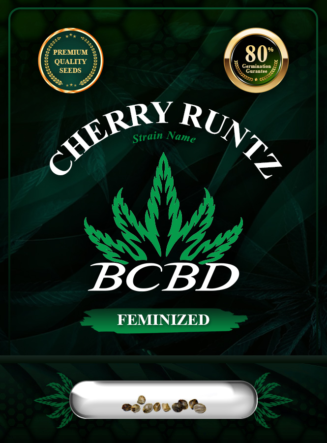 Cherry Runtz Strain Feminized Marijuana Seeds