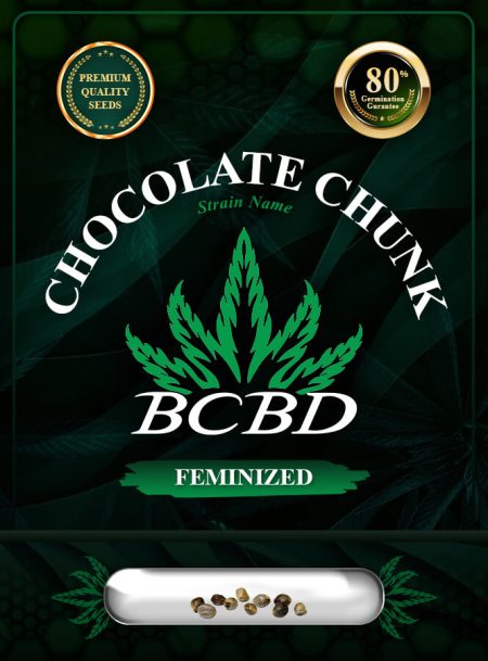 Chocolate Chunk Feminized