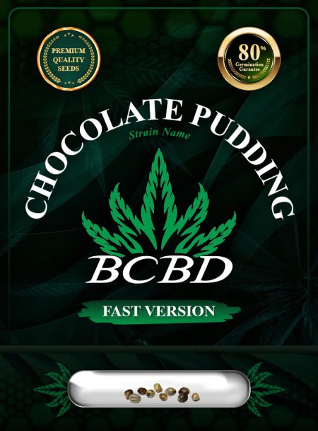 Chocolate Pudding Strain Feminized Fast Version