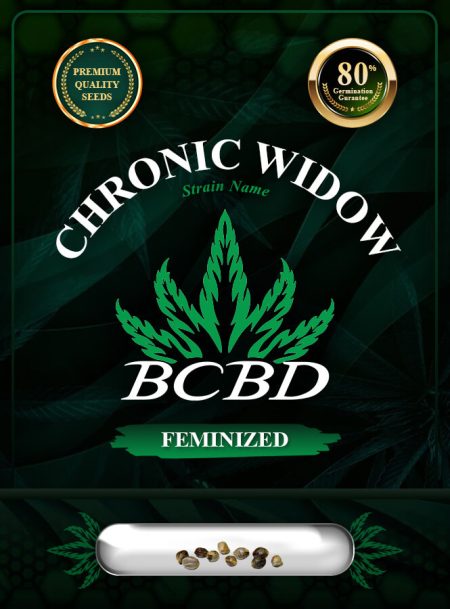 Chronic Widow Strain Feminized