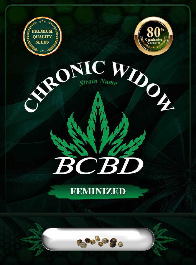 Chronic Widow Strain Feminized Marijuana Seeds