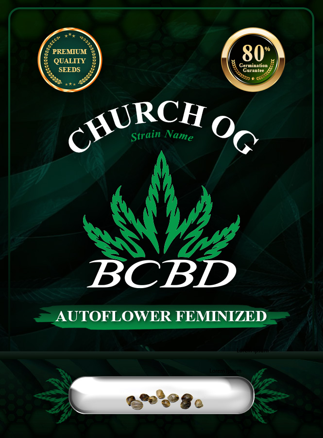 Church OG Strain Autoflowering Marijuana Seeds