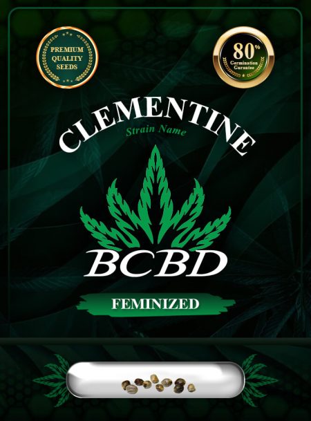 Clementine Strain Feminized