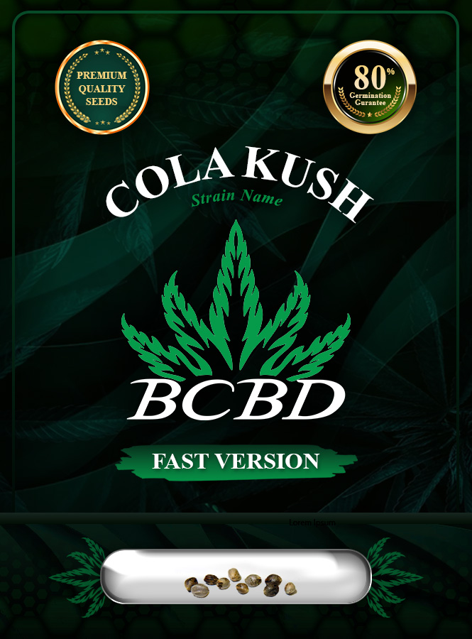 Cola Kush Fast Version Marijuana Seeds