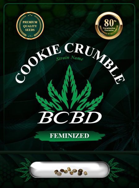 Cookie Crumble Strain Feminized