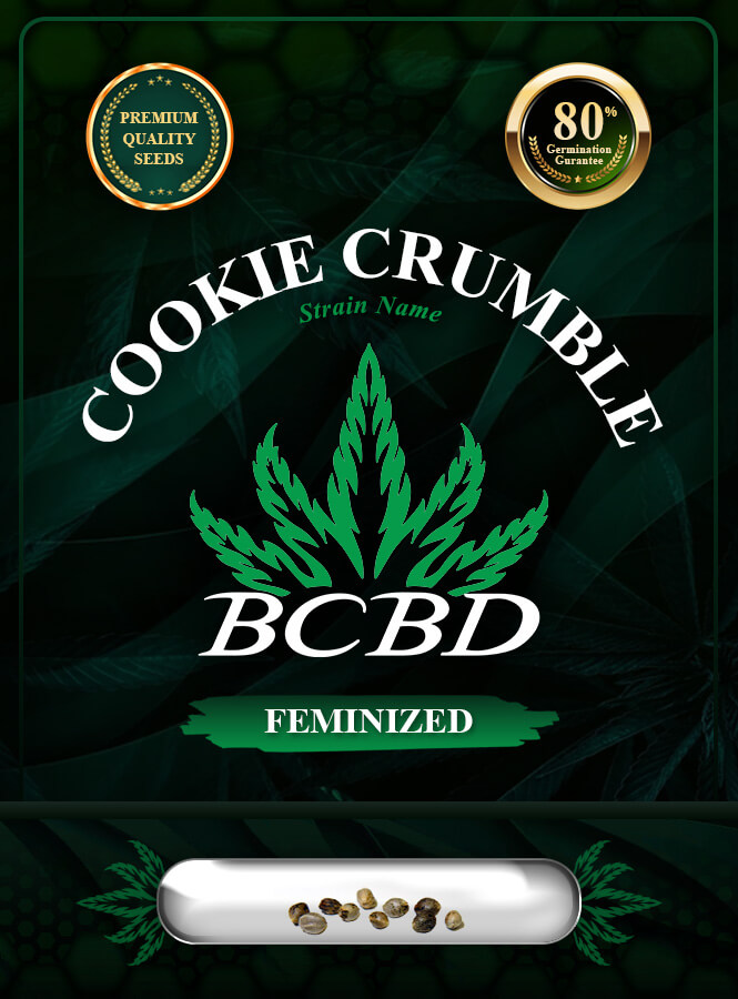Cookie Crumble Strain Feminized Marijuana Seeds