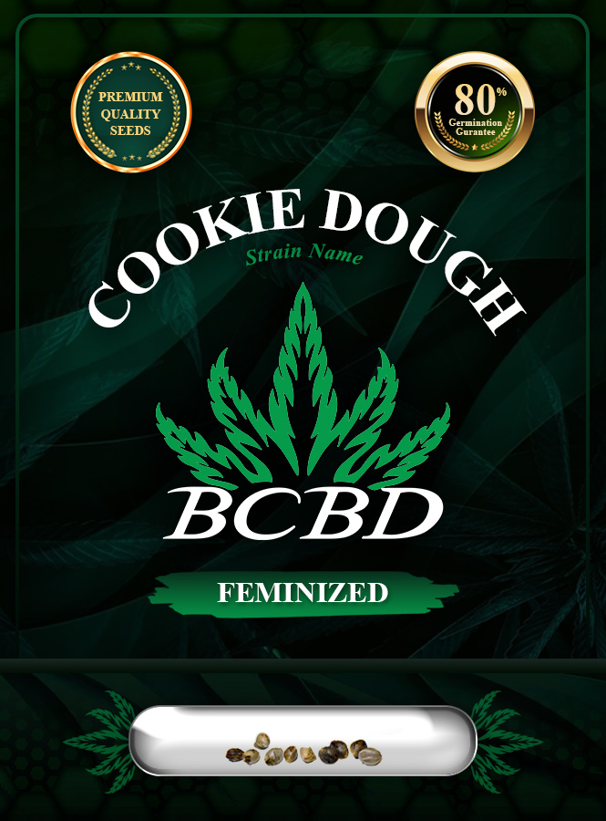 Cookie Dough Strain Feminized Marijuana Seeds
