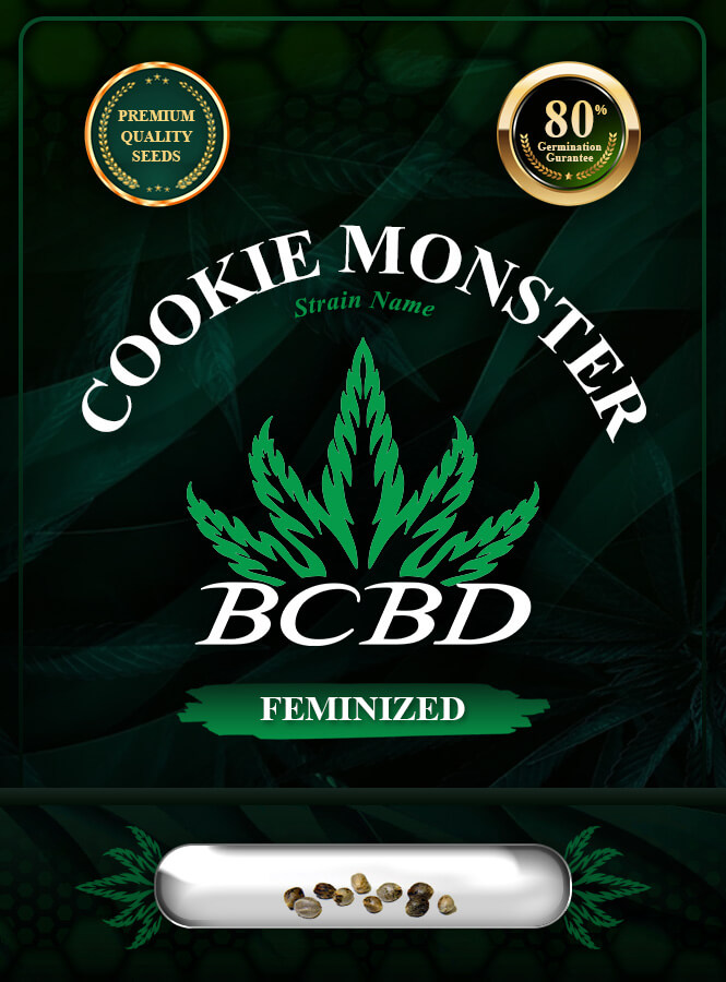 Cookie Monster Strain Feminized Marijuana Seeds