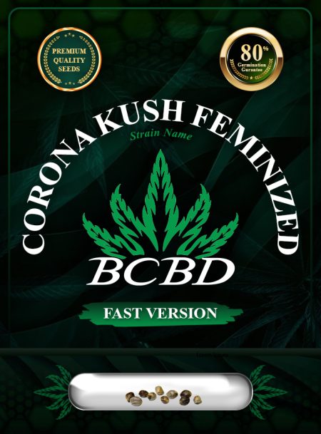 Corona Kush Feminized Fast Version