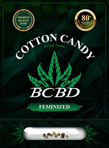 Cotton Candy Feminized