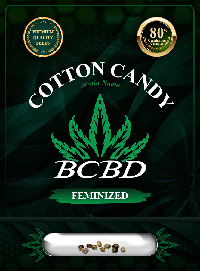 Cotton Candy Feminized Marijuana Seeds