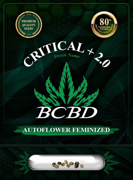 Critical + 2.0 Strain Autoflowering