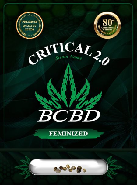 Critical 2.0 Strain Feminized