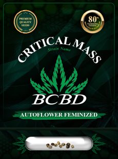 Critical Mass Strain Autoflowering