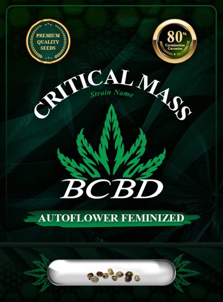 Critical Mass Strain Autoflowering