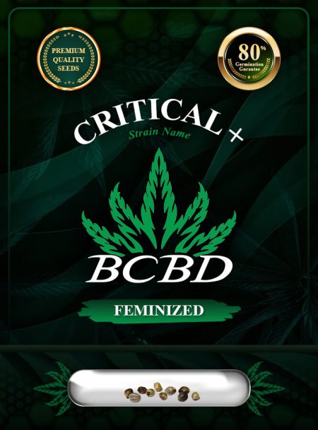 Critical + Strain Feminized