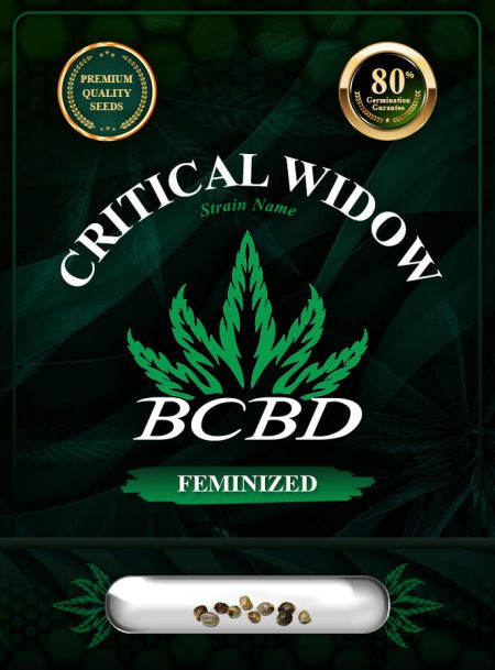 Critical Widow Strain Feminized