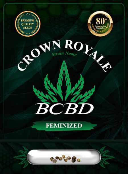 Crown Royale Strain Feminized