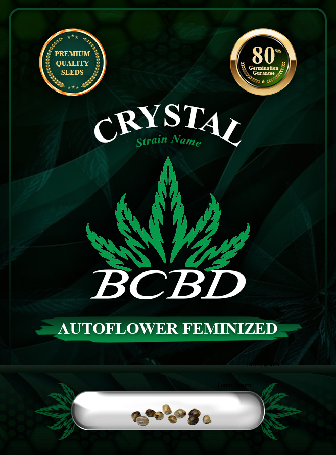 Crystal Strain Autoflowering Marijuana Seeds