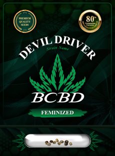 Devil Driver Strain Feminized
