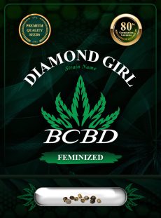 Diamond Girl Strain Feminized