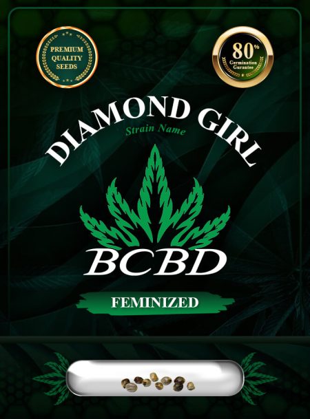 Diamond Girl Strain Feminized