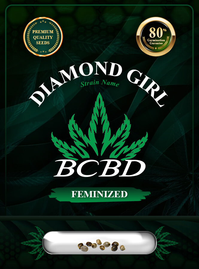 Diamond Girl Strain Feminized Marijuana Seeds