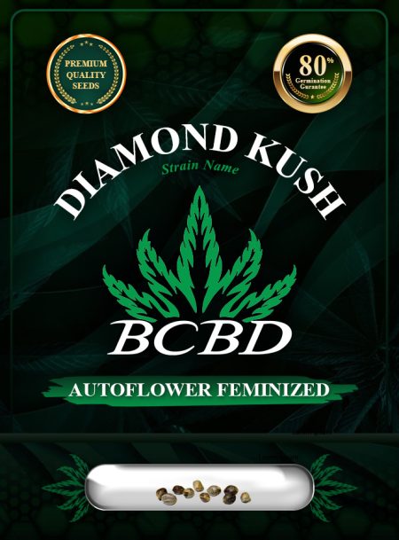 Diamond Kush Autoflowering