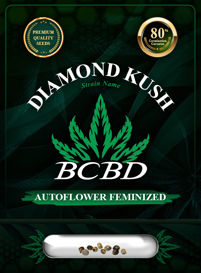 Diamond Kush Autoflowering Marijuana Seeds