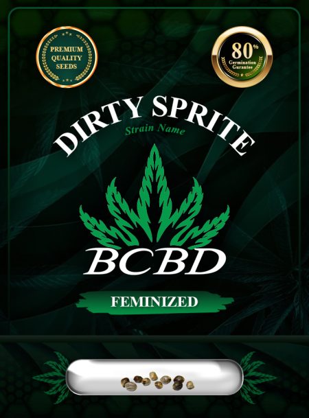 Dirty Sprite Strain Feminized