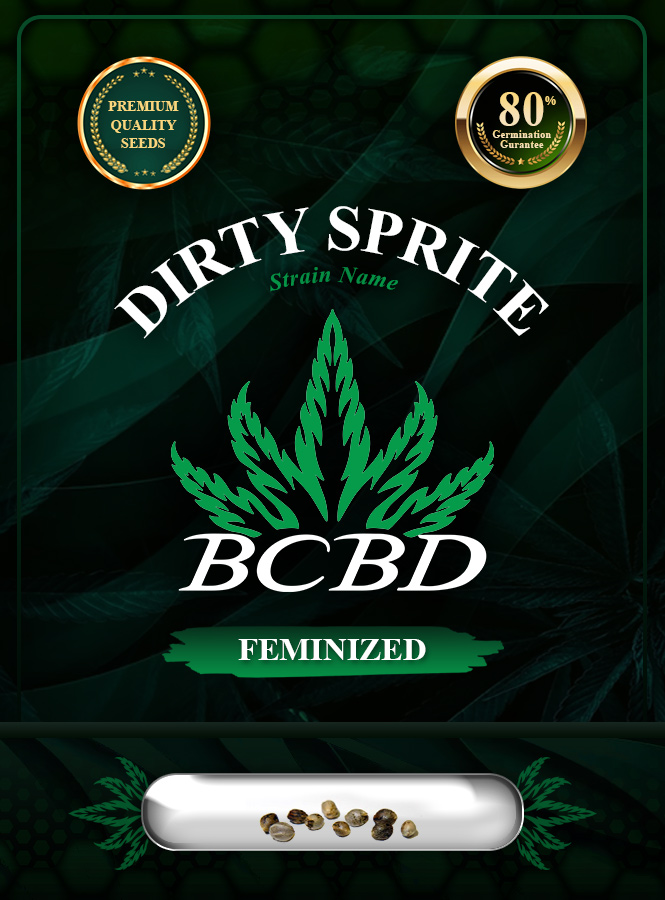 Dirty Sprite Strain Feminized Marijuana Seeds