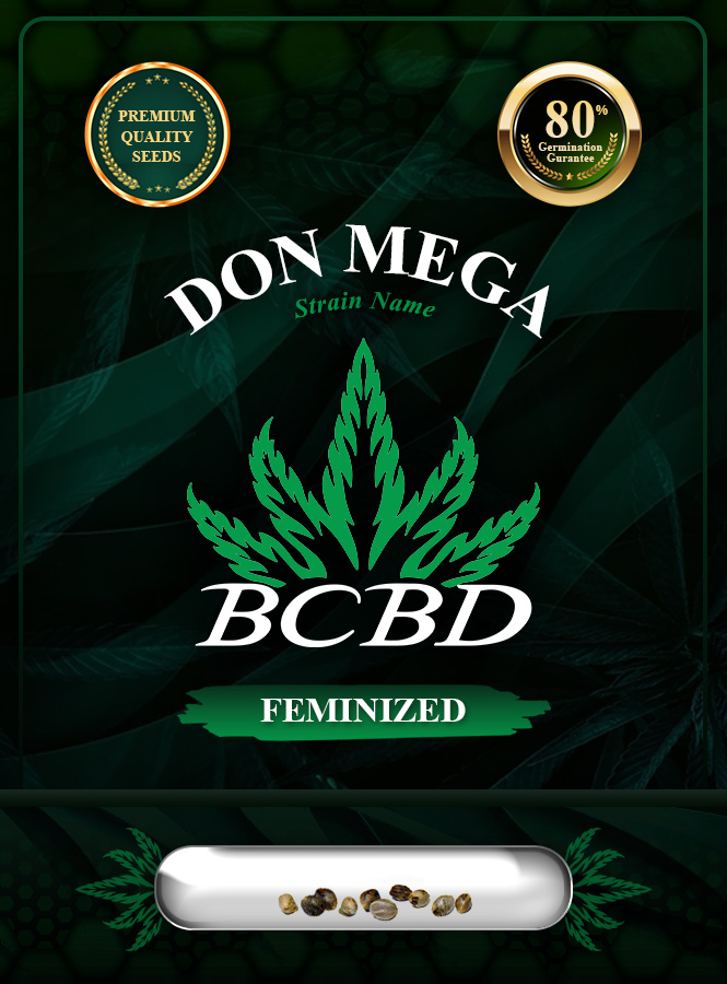 Don Mega Strain Feminized Marijuana Seeds
