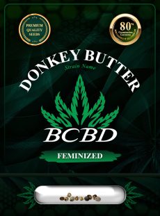 Donkey Butter Strain Feminized