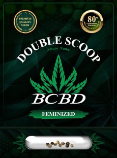 Double-Scoop Strain Feminized