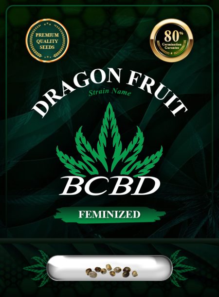 Dragon Fruit Strain Feminized Marijuana Seeds