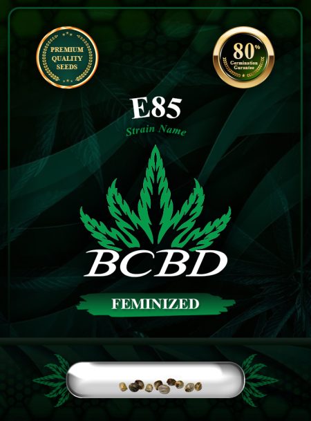 E85 Strain Feminized