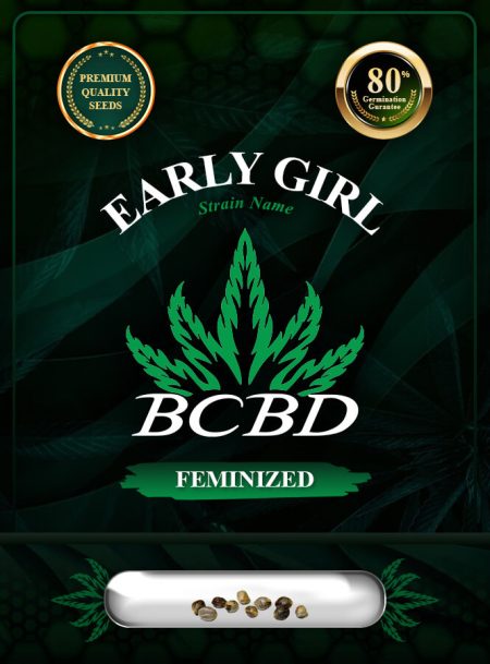 Early Girl Strain Feminized