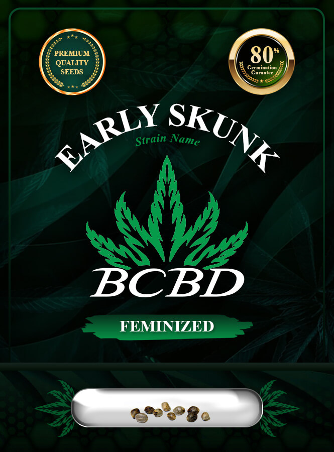 Early Skunk Strain Feminized Marijuana Seeds