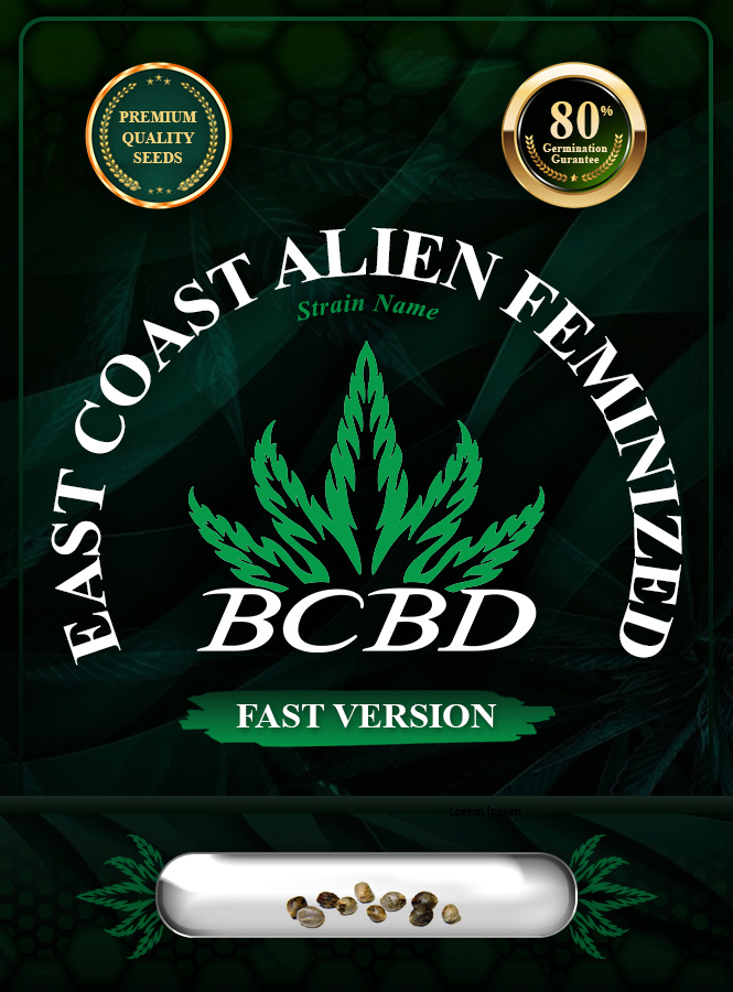 East Coast Alien Strain Feminized Fast Version Marijuana Seeds