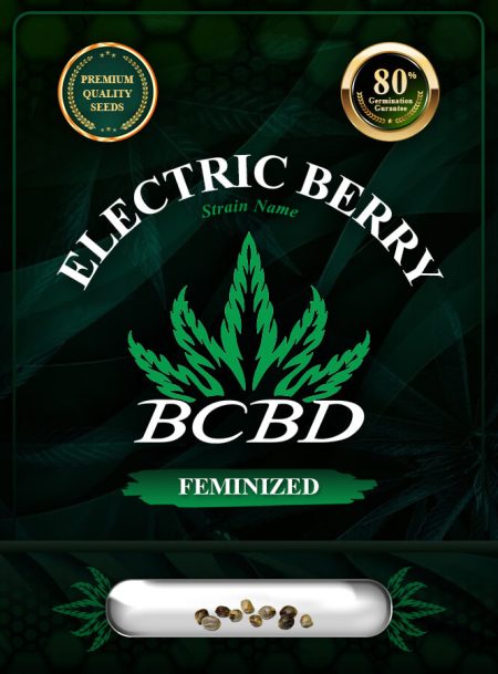 Electric Berry Strain Feminized