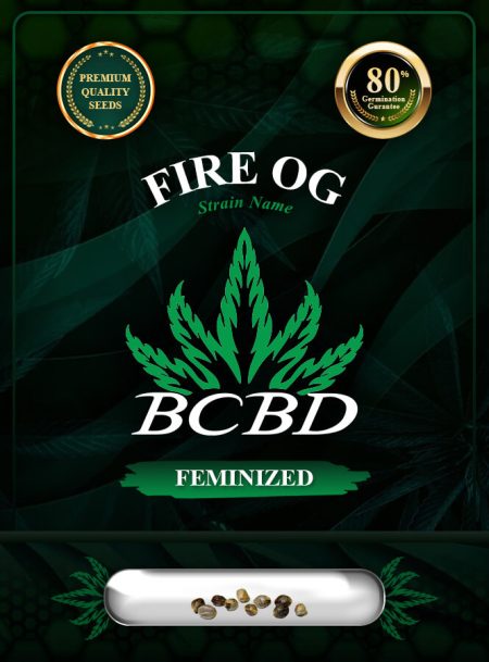 Fire OG Strain Feminized