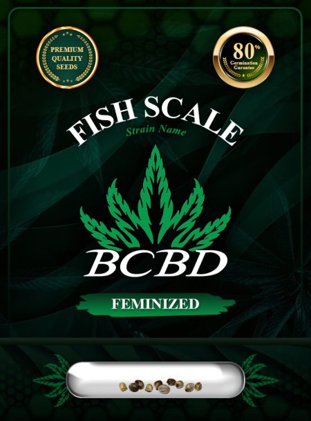 Fish Scale Strain Feminized
