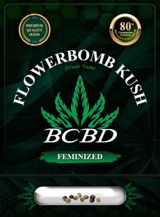 Flower Bomb Kush Feminized