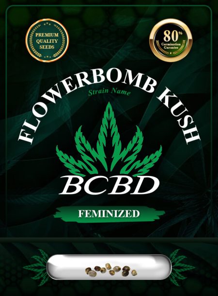 Flower Bomb Kush Feminized